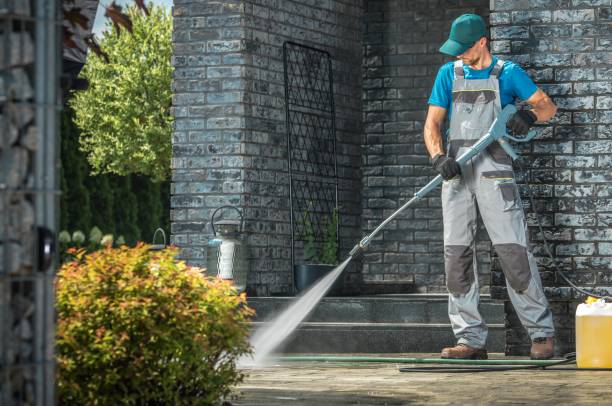 Best Solar Panel Cleaning  in Giddings, TX