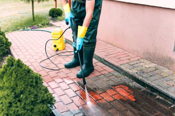 Best Animal Enclosure Cleaning  in Giddings, TX