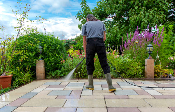 Best Sidewalk and Walkway Cleaning  in Giddings, TX
